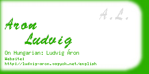 aron ludvig business card